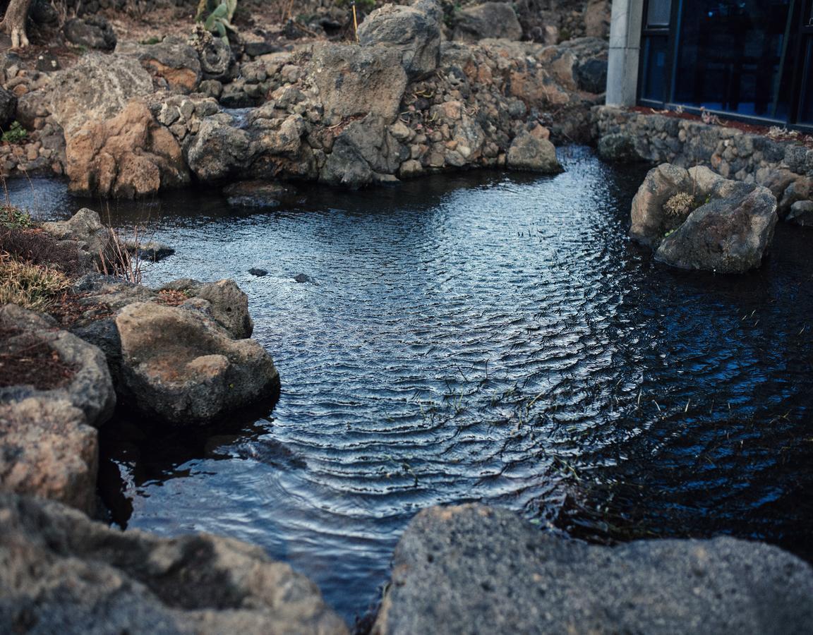 Jeju Feel Pension Zewnętrze zdjęcie